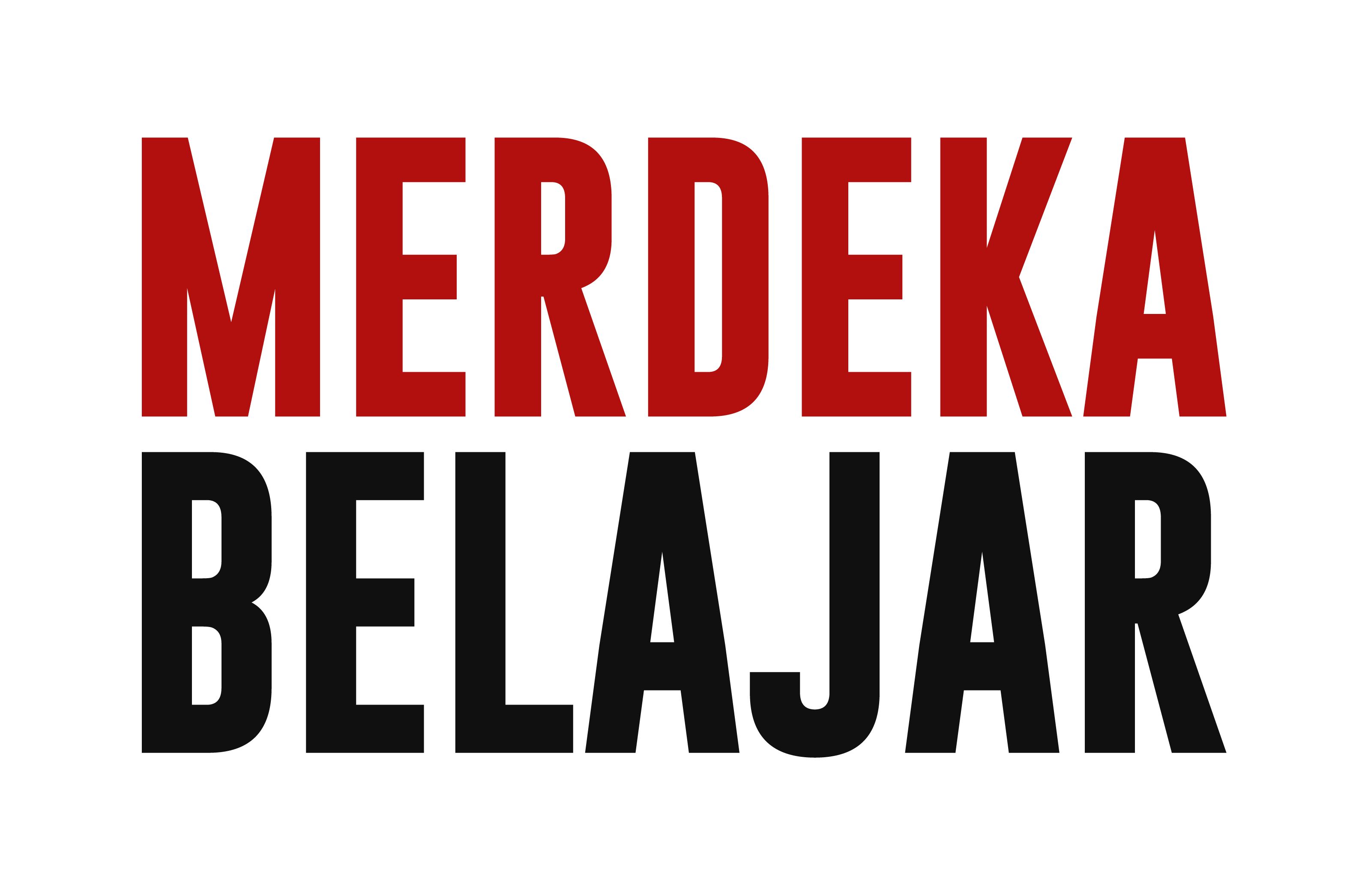 Media Partner